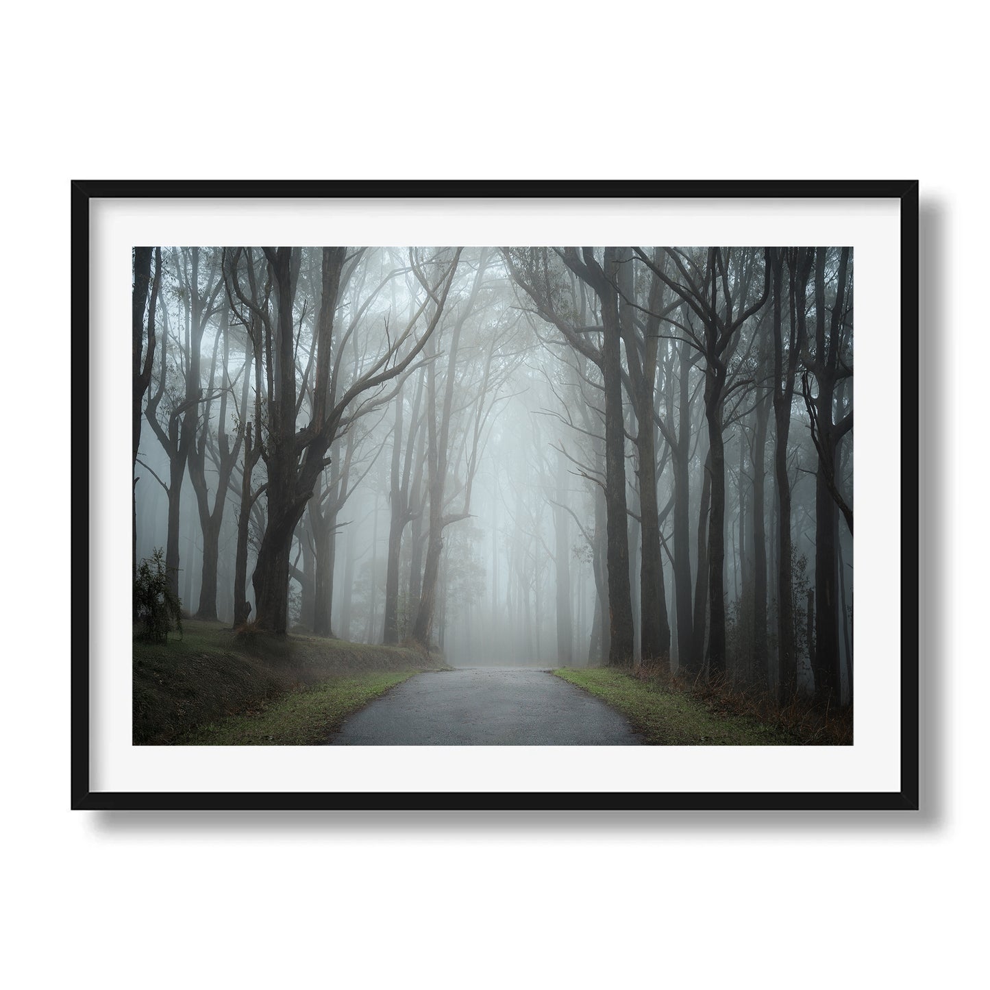 Enchanted | Victoria