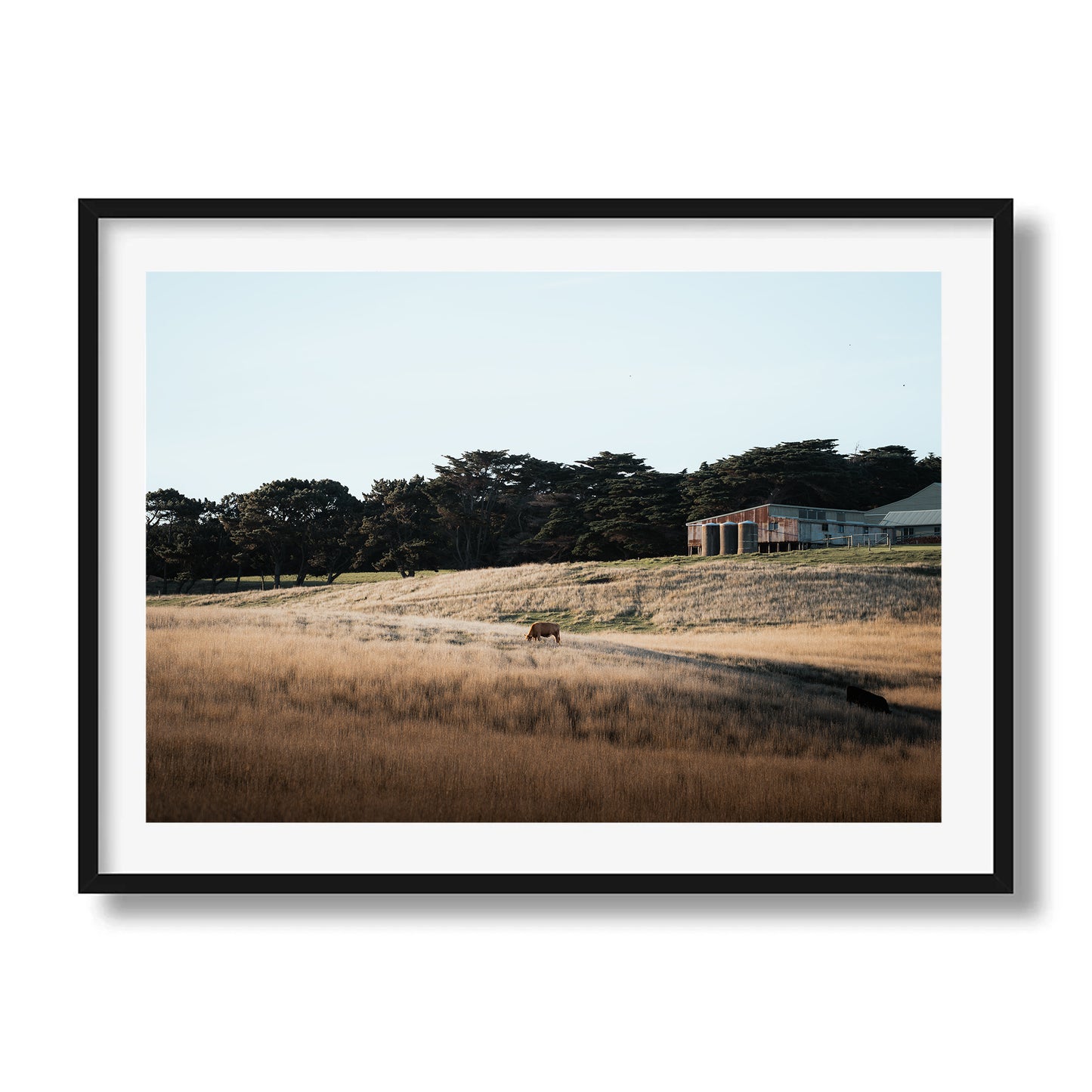 Flinders Farm Land | Victoria