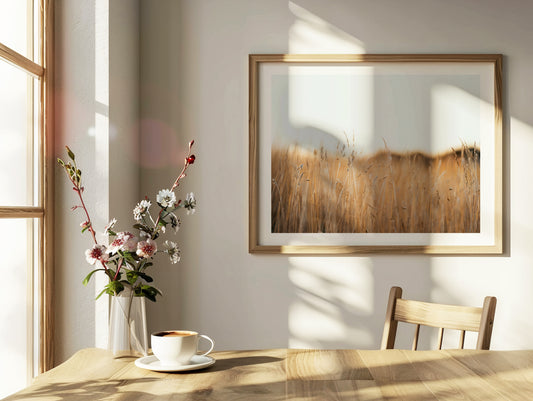 Flinders Wheat Field