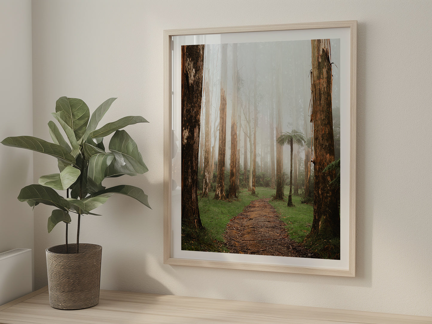 Black Spur Forest - Narbethong - Wall Art