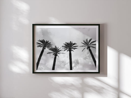 Italy Palms - Sorrento IV B&W - Wall Art