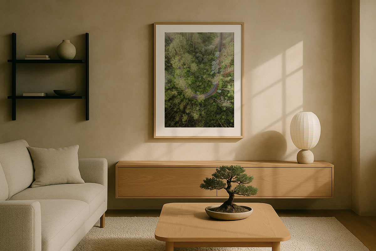 Black Spur Drive Aerial in Narbethong framed artwork displayed in an interior
