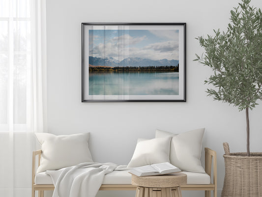 New Zealand Pine Tree Lake