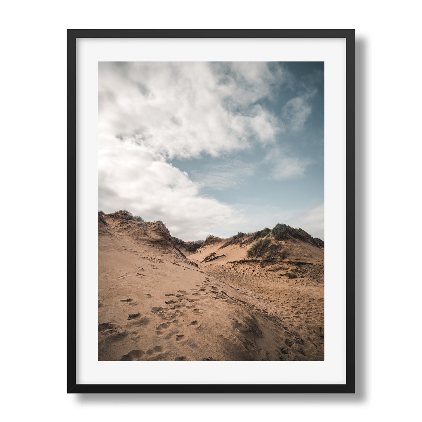 Phillip Island Dunes | Victoria