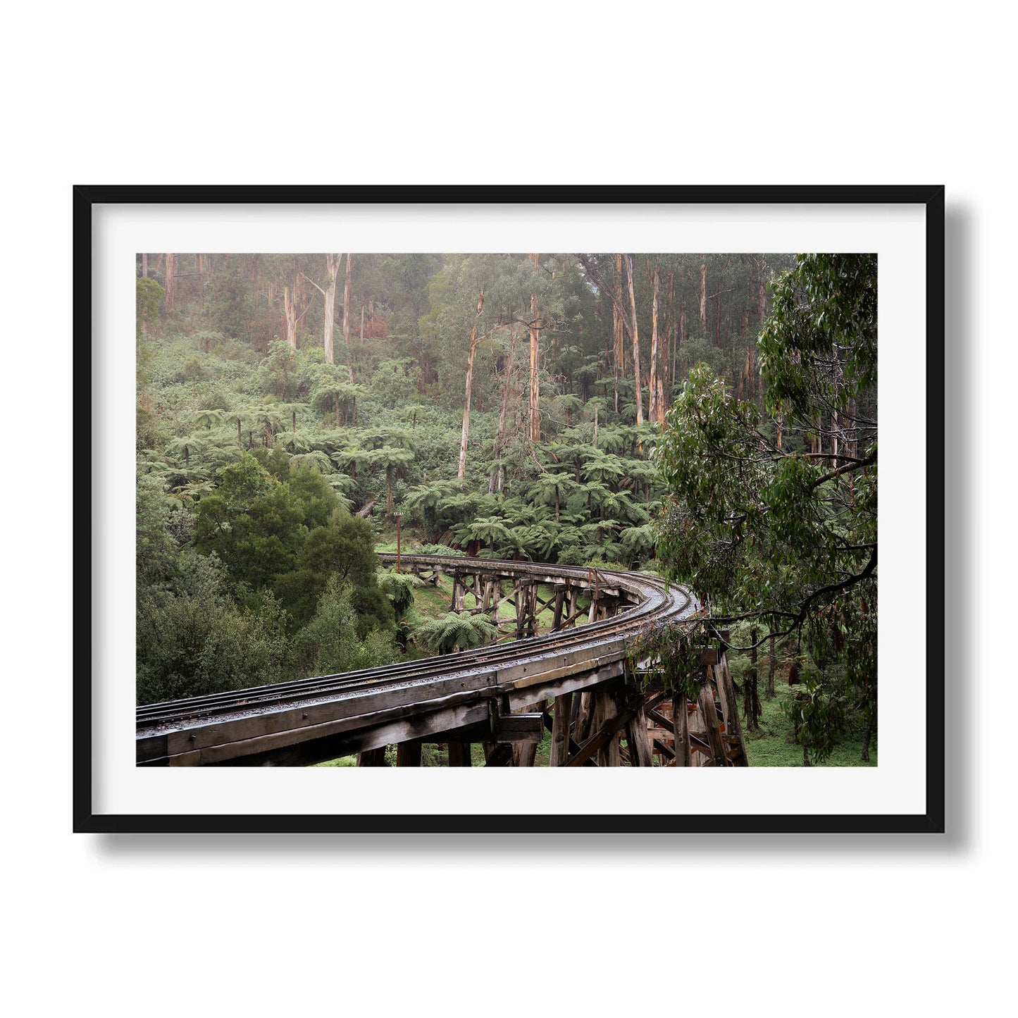 Puffing Billy Trestle Bridge | Victoria