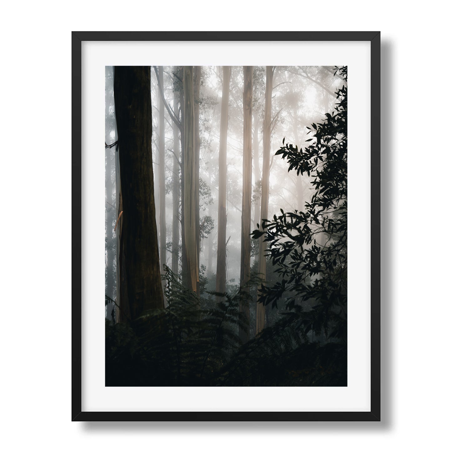 The Painted Forest | Victoria