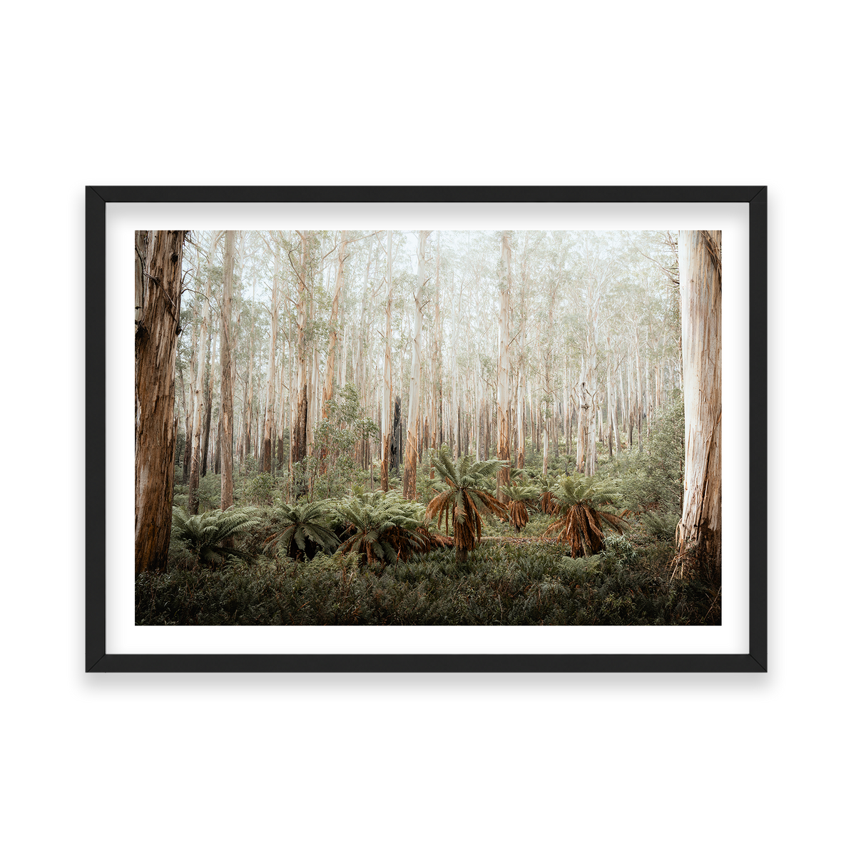 Fern Valley - Marysville — Feature, Matte Black, Classic Frame