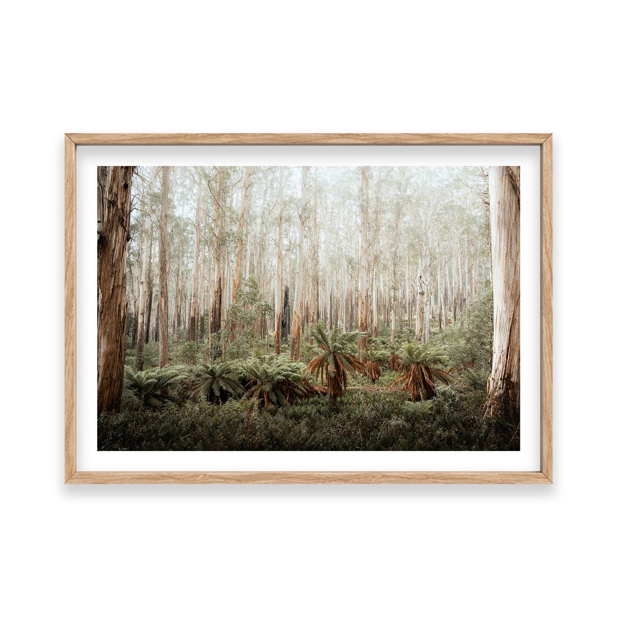 Fern Valley - Marysville — Feature, Natural Oak, Classic Frame