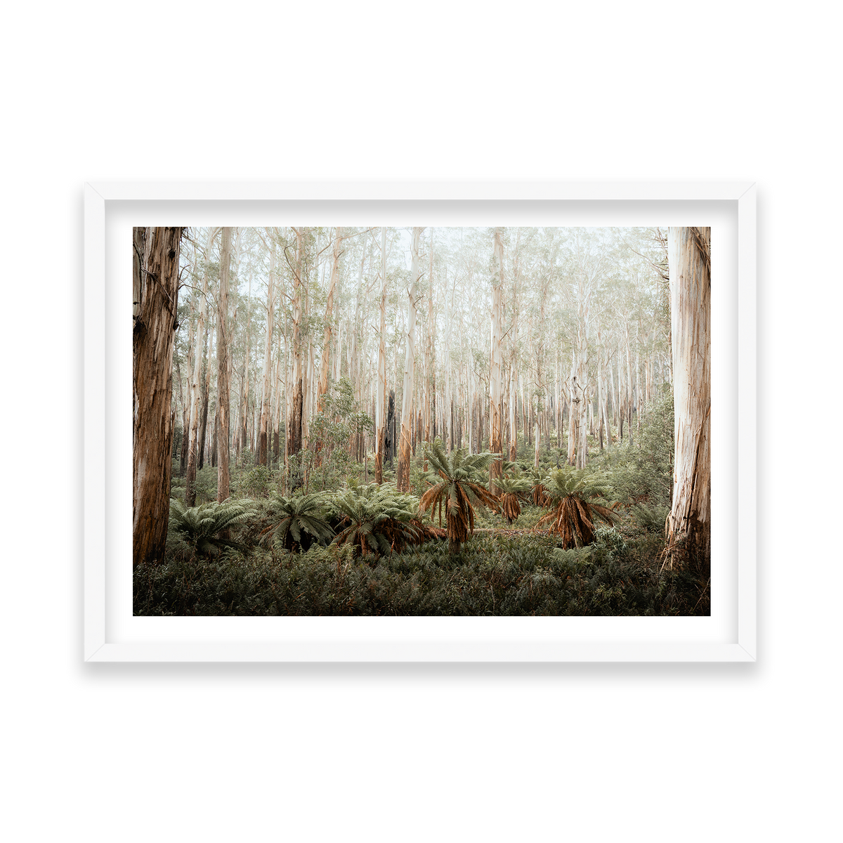 Fern Valley - Marysville — Feature, Matte White, Classic Frame