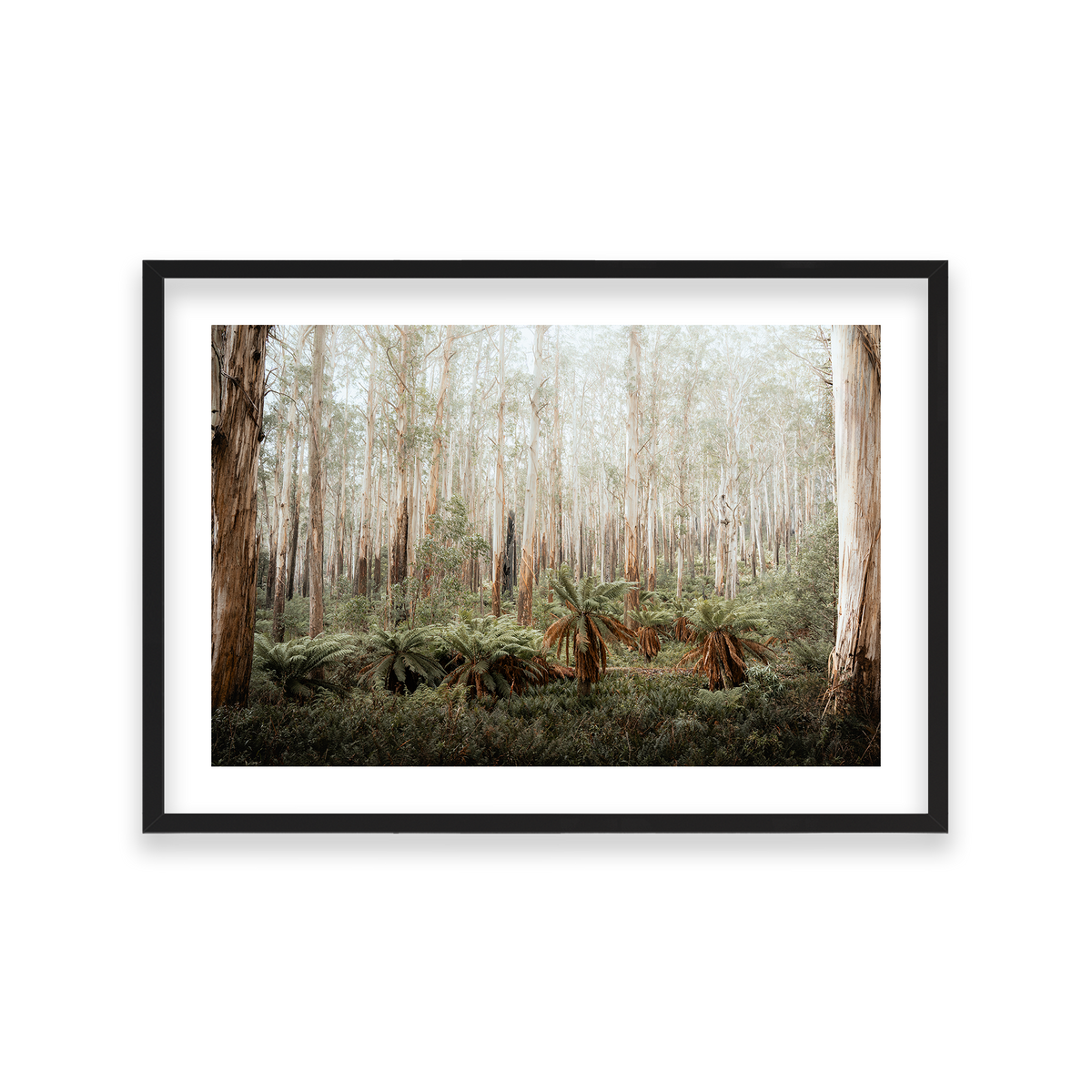 Fern Valley - Marysville — Large, Matte Black, Classic Frame