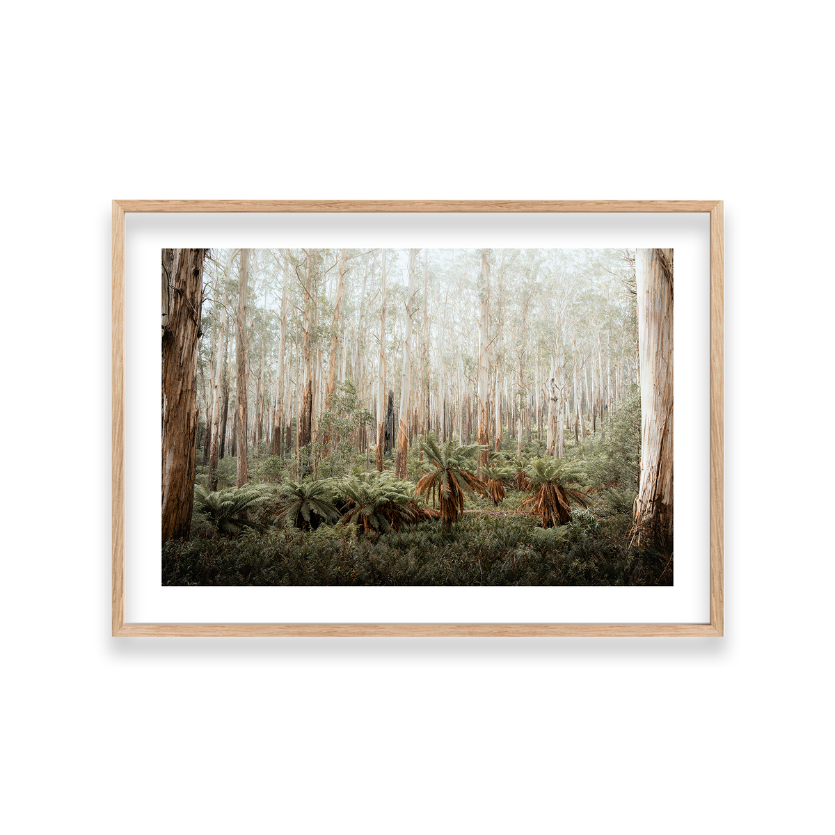 Fern Valley - Marysville — Large, Natural Oak, Classic Frame