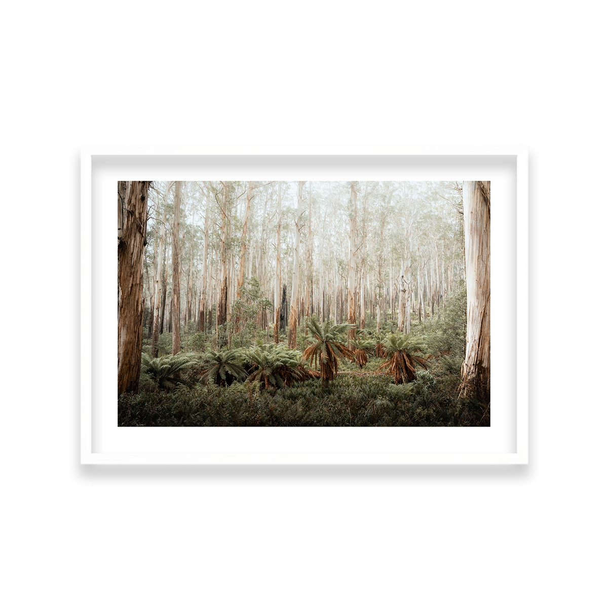 Fern Valley - Marysville — Large, Matte White, Classic Frame