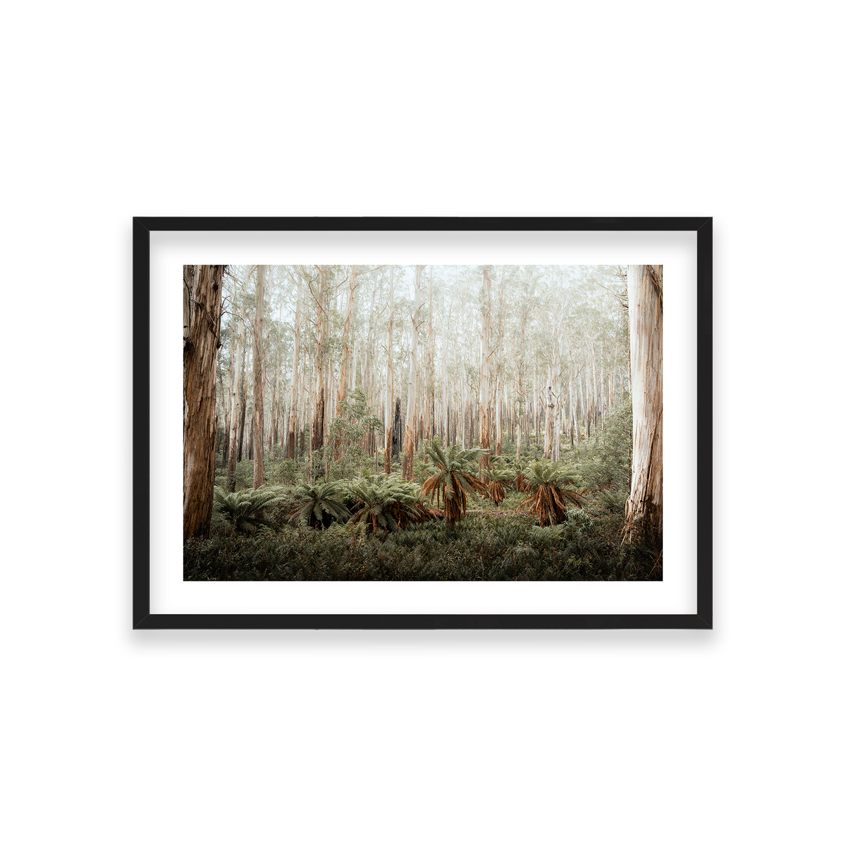 Fern Valley - Marysville — Medium, Matte Black, Classic Frame