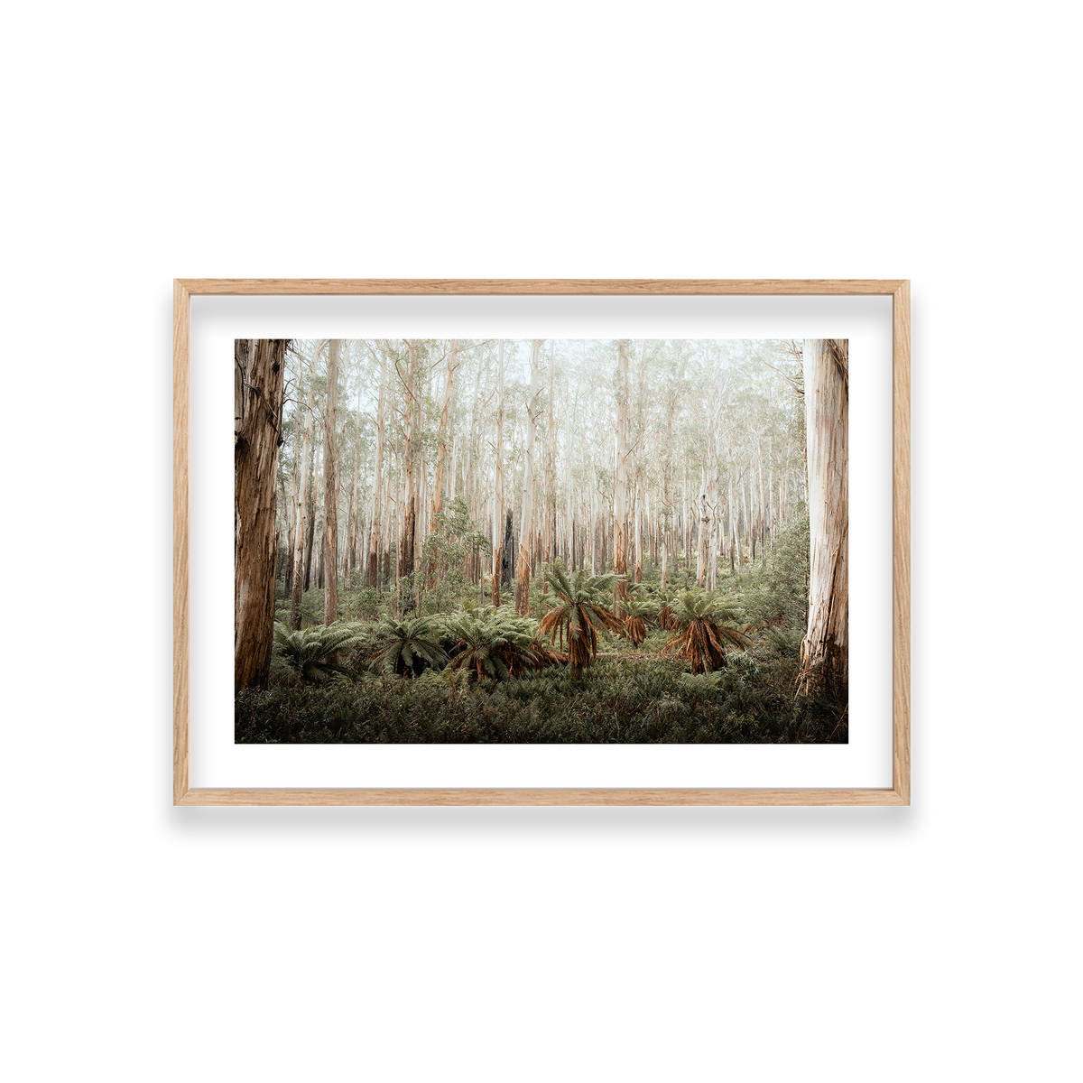 Fern Valley - Marysville — Medium, Natural Oak, Classic Frame