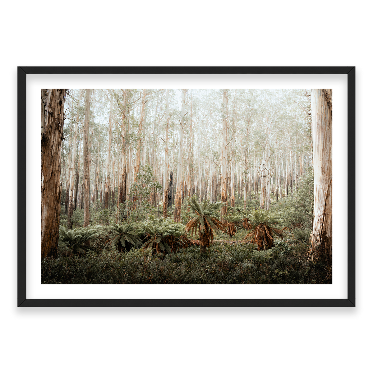 Fern Valley - Marysville — Monument, Matte Black, Classic Frame