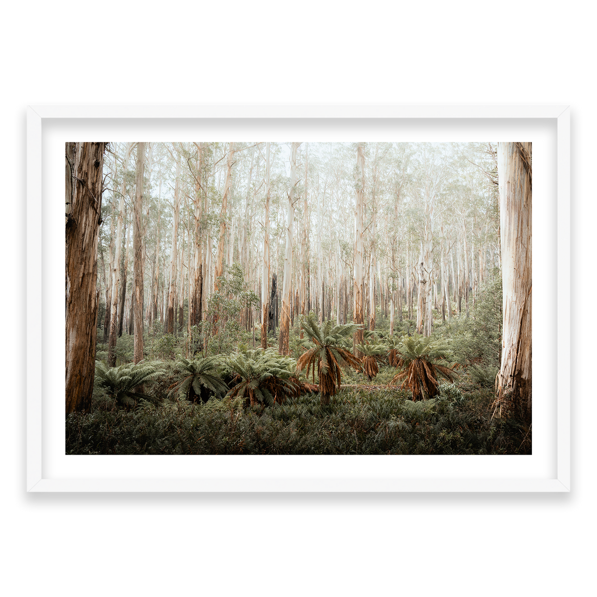 Fern Valley - Marysville — Monument, Matte White, Classic Frame