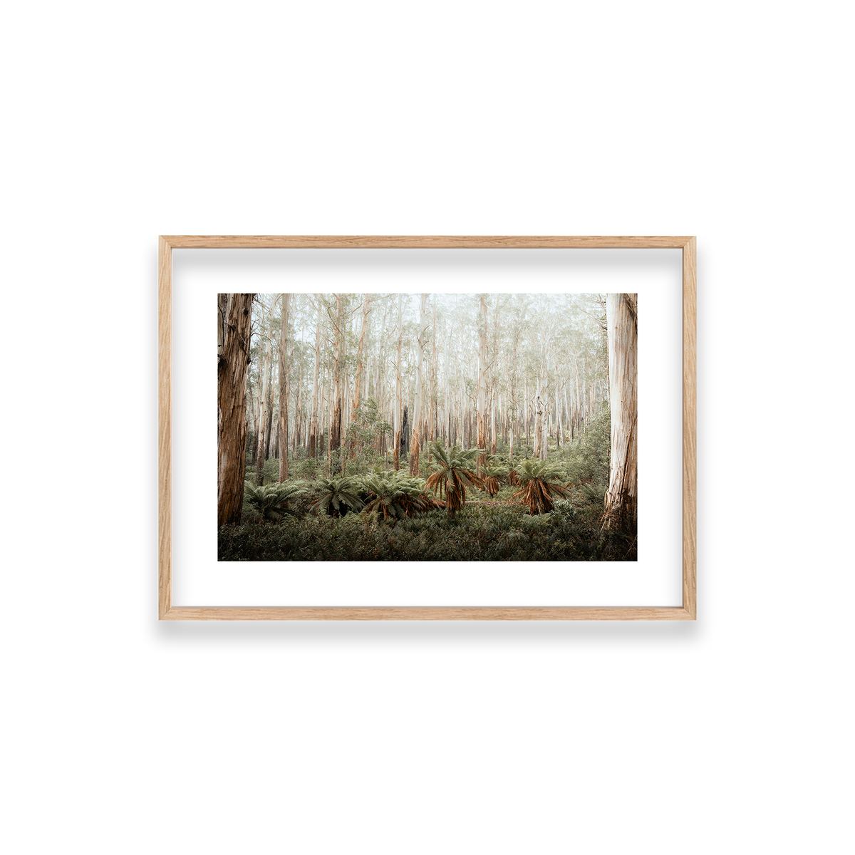 Fern Valley - Marysville — Small, Natural Oak, Classic Frame