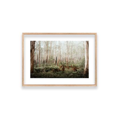 Fern Valley - Marysville — Small, Natural Oak, Classic Frame