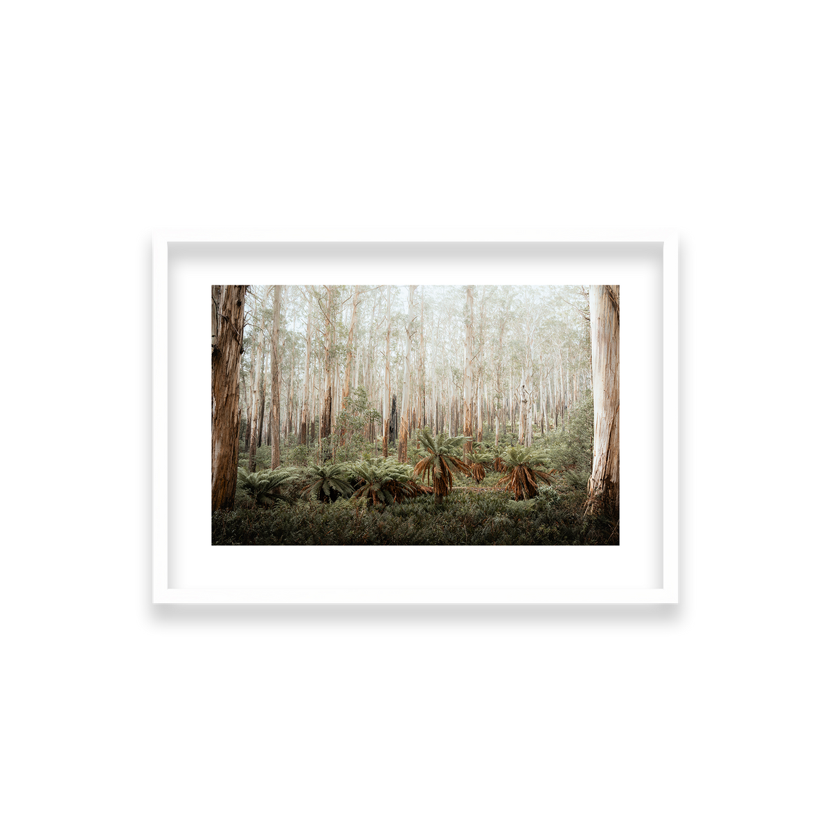 Fern Valley - Marysville — Small, Matte White, Classic Frame