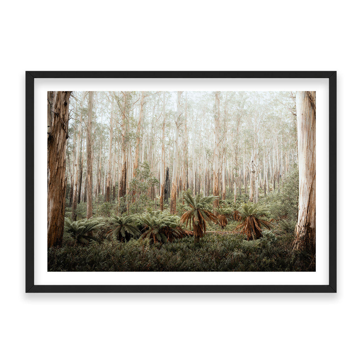 Fern Valley - Marysville — Statement, Matte Black, Classic Frame