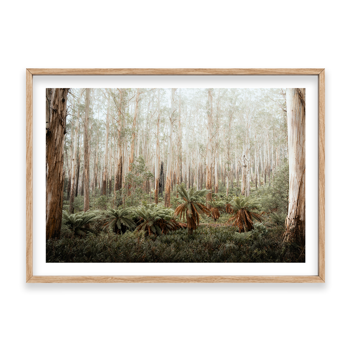 Fern Valley - Marysville — Statement, Natural Oak, Classic Frame