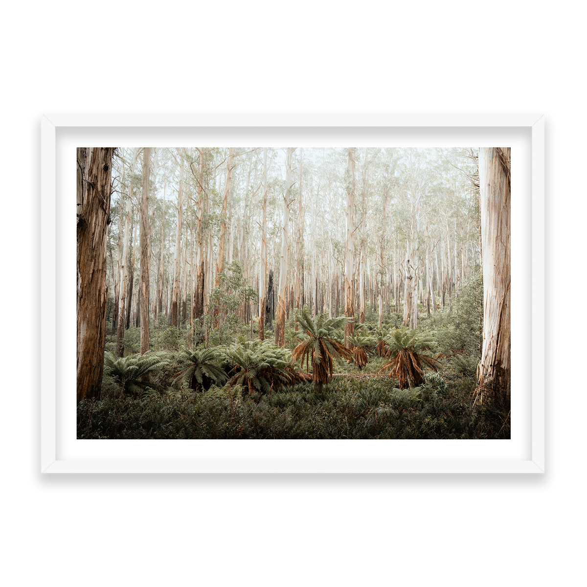 Fern Valley - Marysville — Statement, Matte White, Classic Frame
