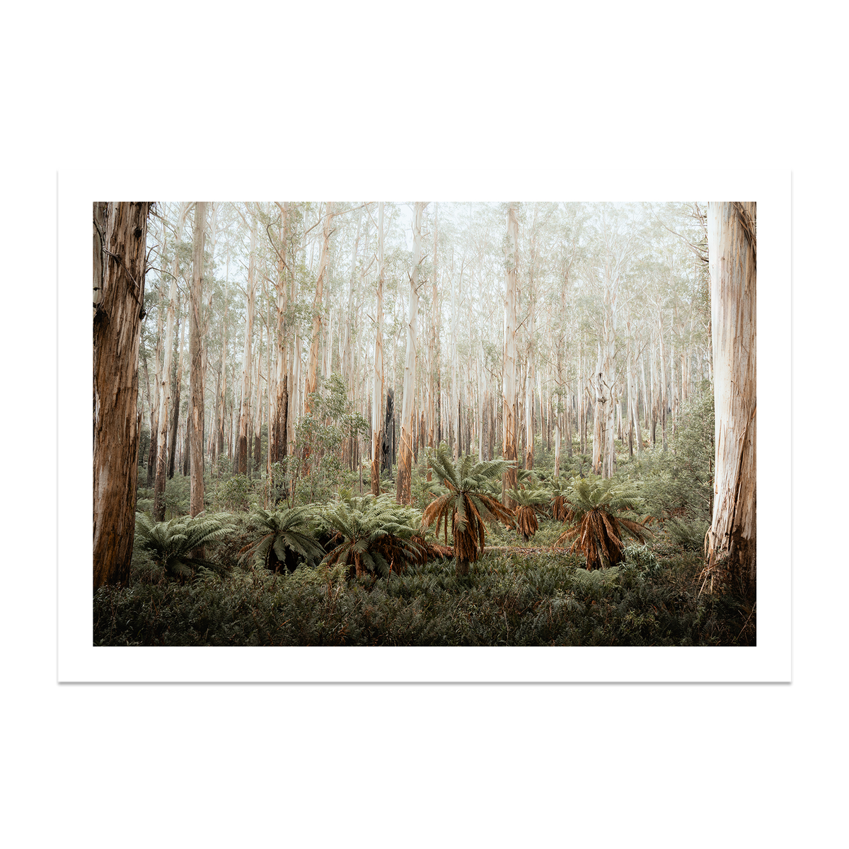 Fern Valley - Marysville — Monument, No Frame, Print Only