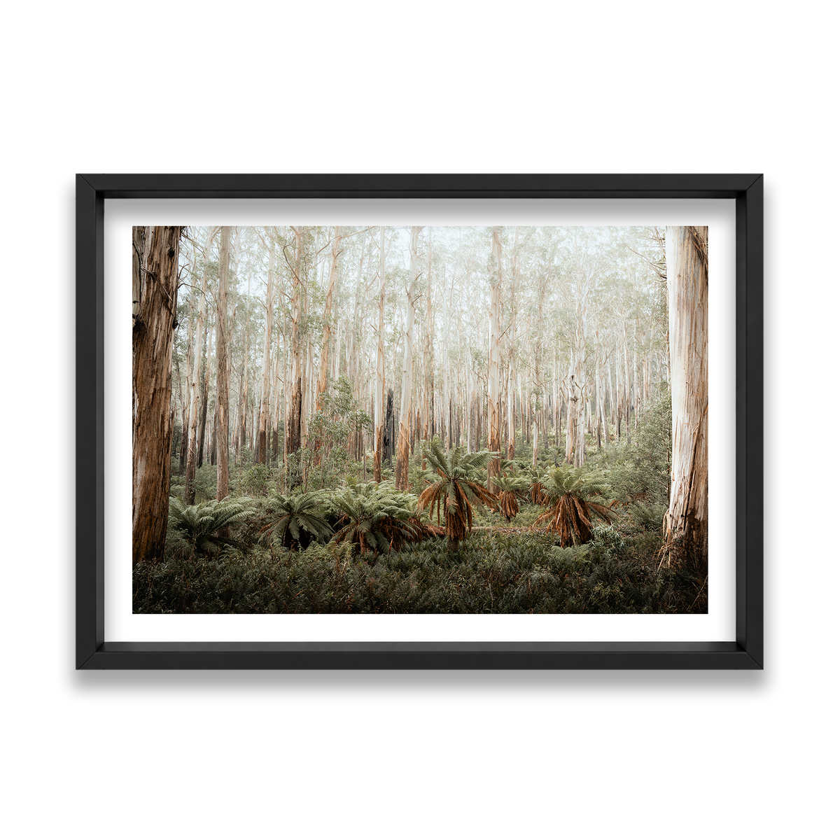Fern Valley - Marysville — Feature, Matte Black, Shadow Box