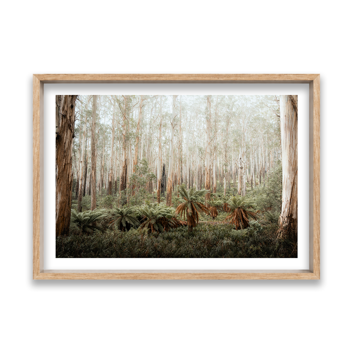 Fern Valley - Marysville — Feature, Natural Oak, Shadow Box