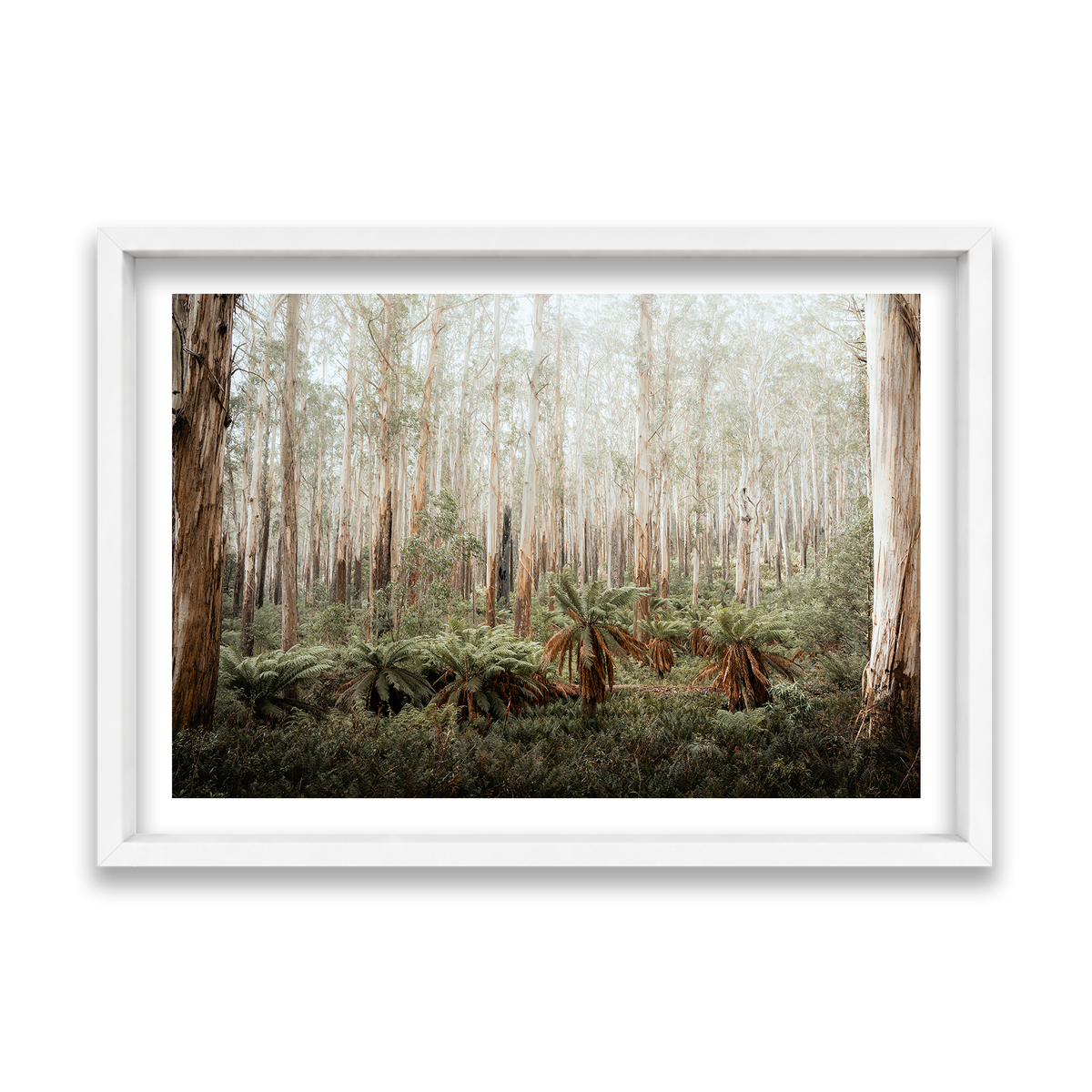 Fern Valley - Marysville — Feature, Matte White, Shadow Box