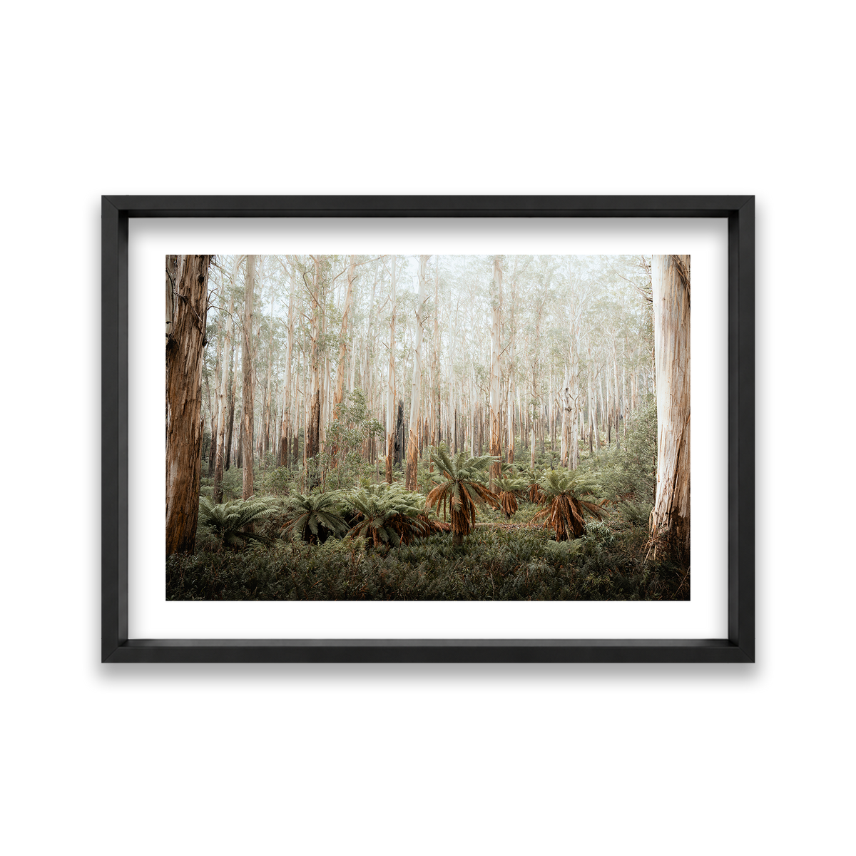 Fern Valley - Marysville — Large, Matte Black, Shadow Box