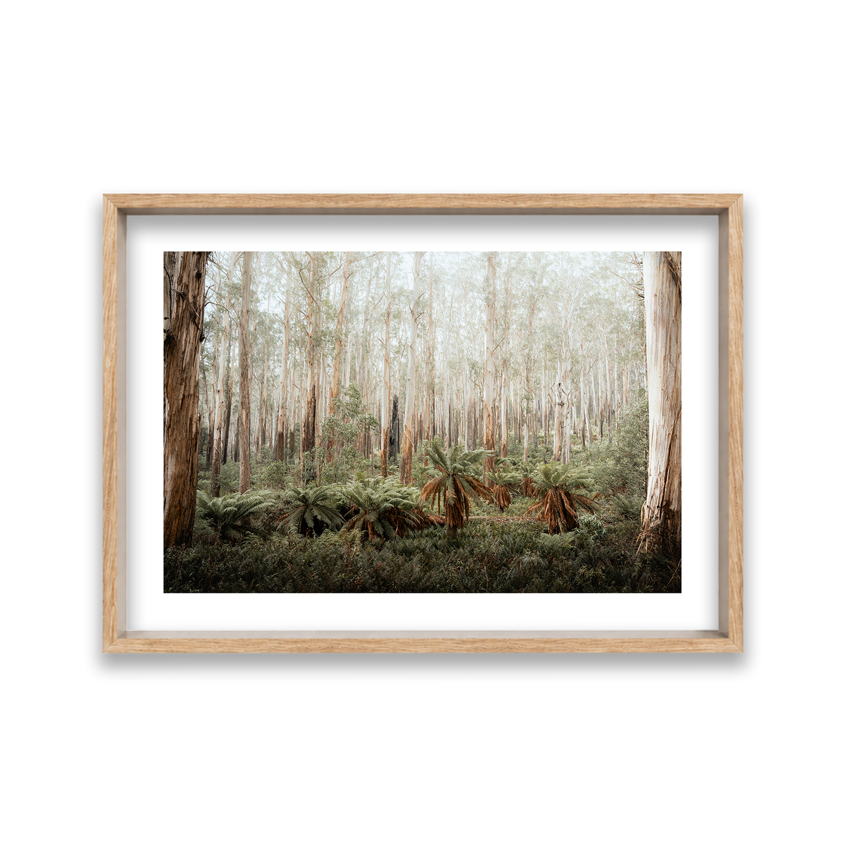 Fern Valley - Marysville — Large, Natural Oak, Shadow Box