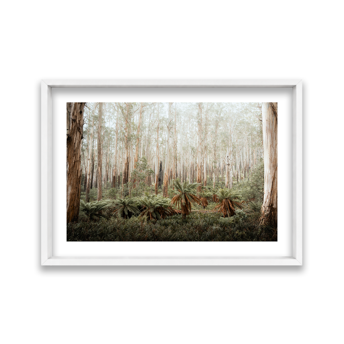Fern Valley - Marysville — Large, Matte White, Shadow Box