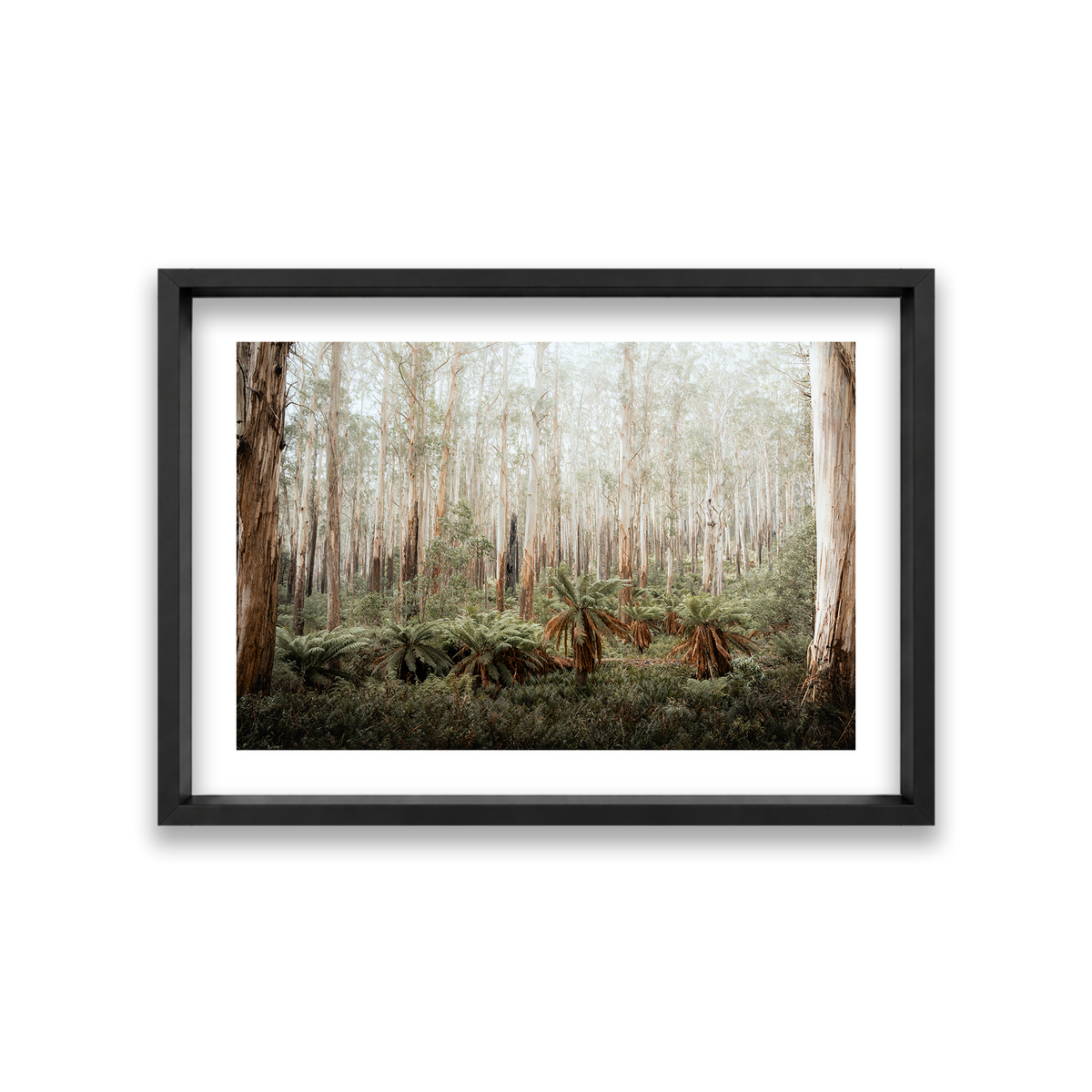 Fern Valley - Marysville — Medium, Matte Black, Shadow Box