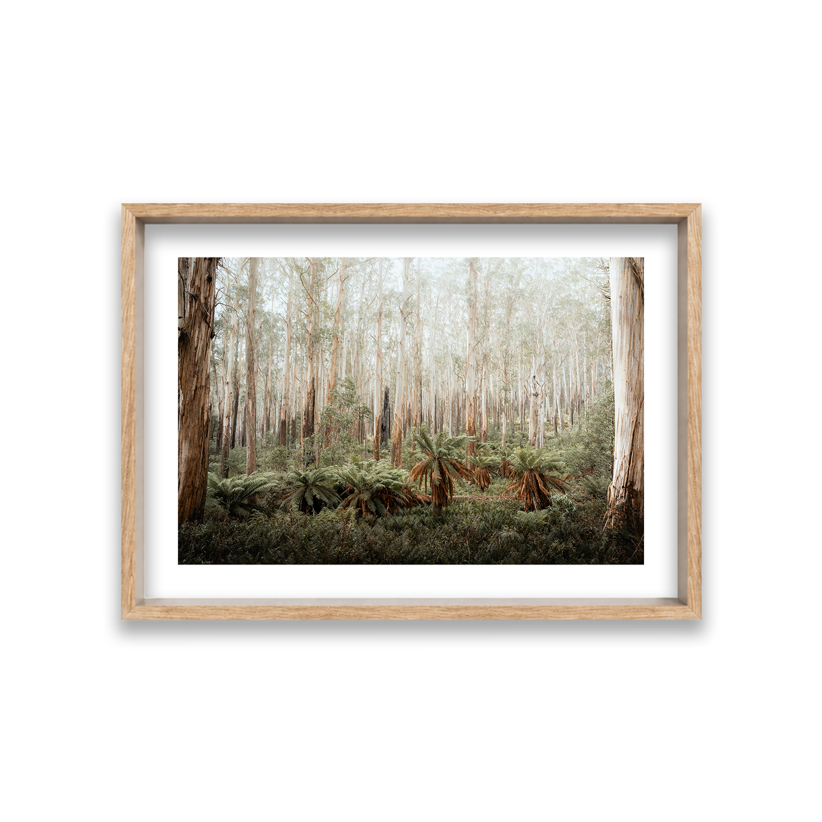 Fern Valley - Marysville — Medium, Natural Oak, Shadow Box