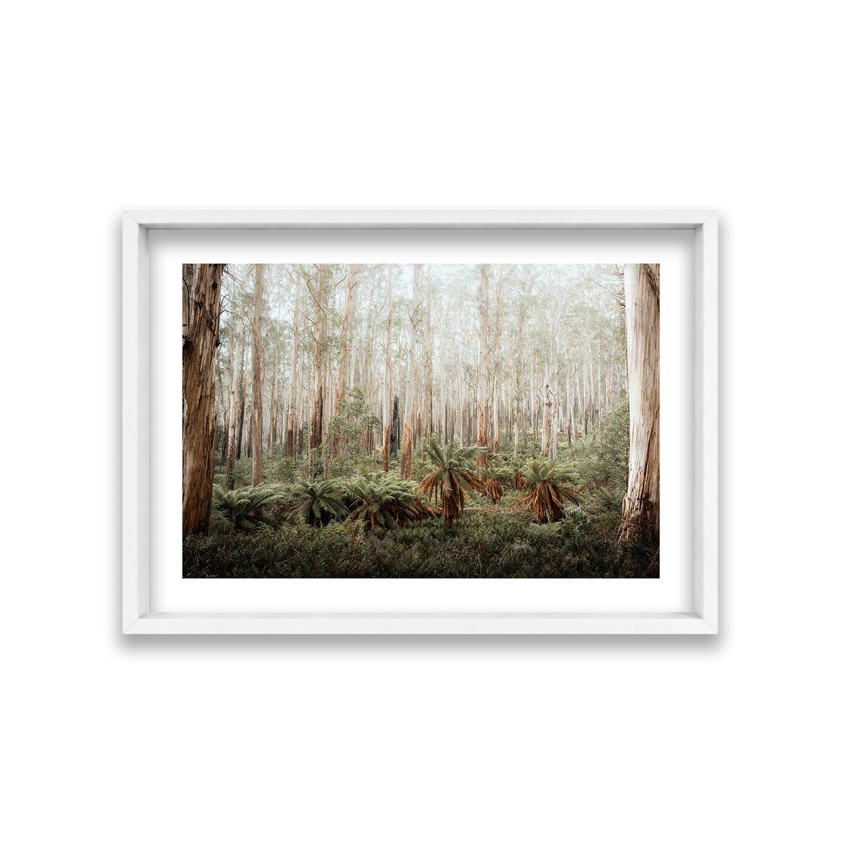 Fern Valley - Marysville — Medium, Matte White, Shadow Box