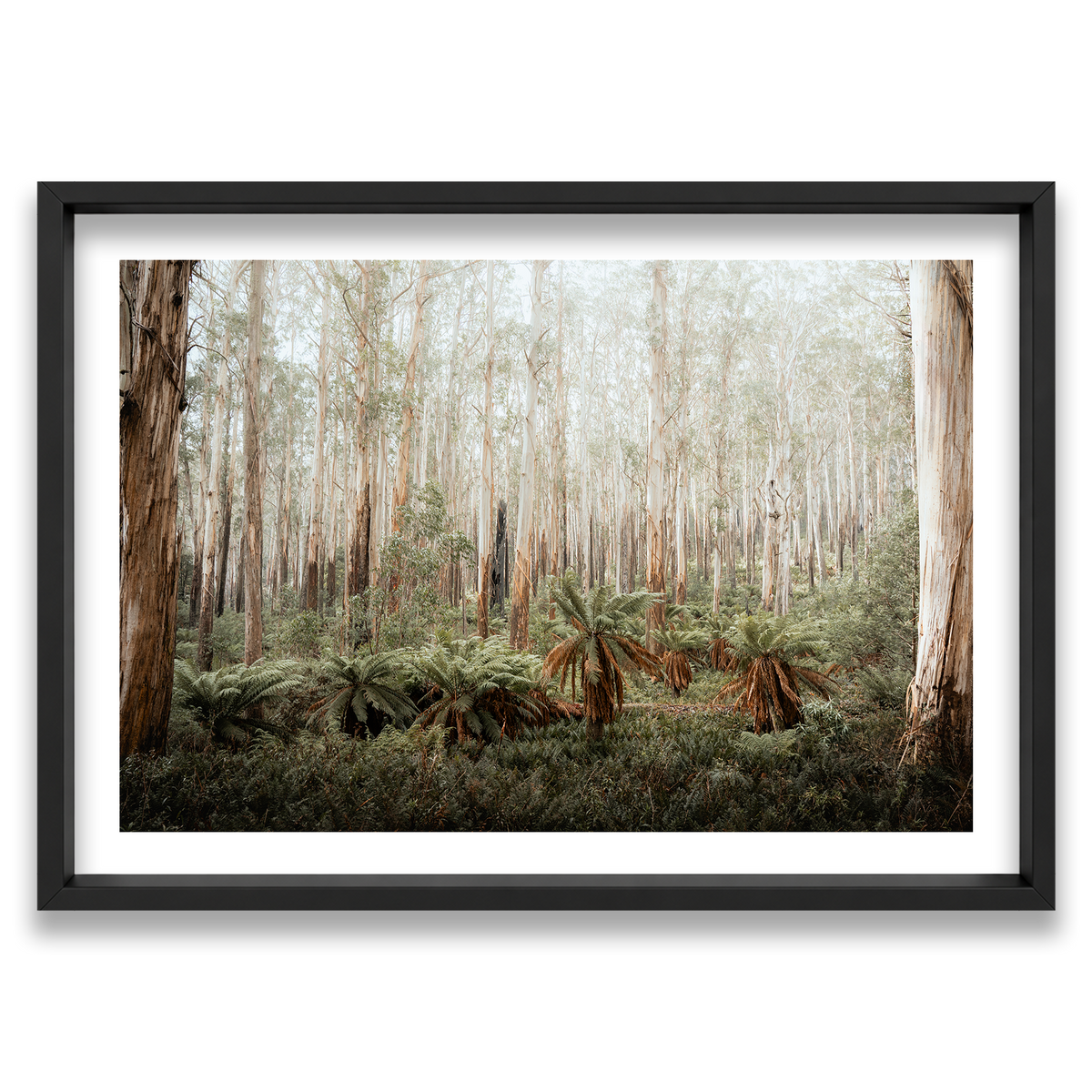 Fern Valley - Marysville — Monument, Matte Black, Shadow Box