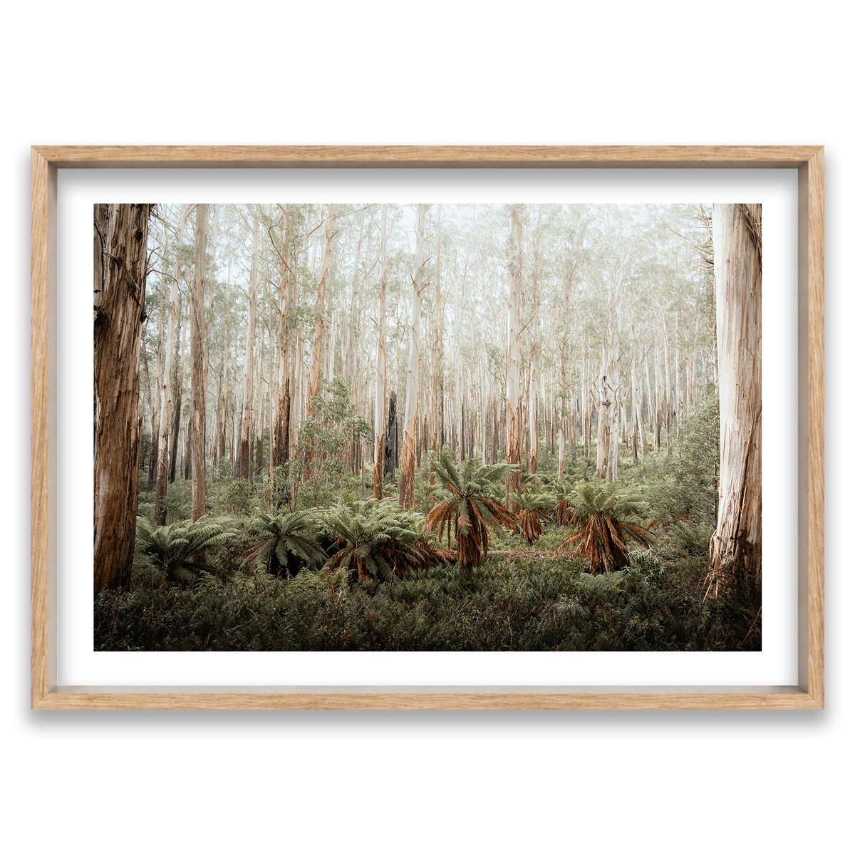 Fern Valley - Marysville — Monument, Natural Oak, Shadow Box