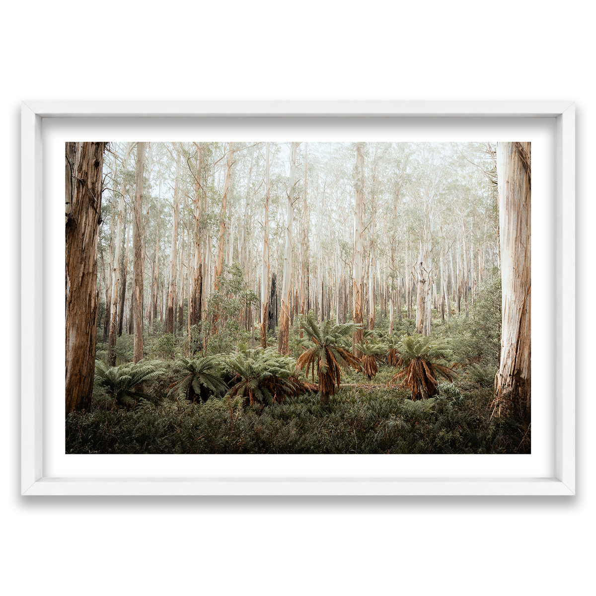 Fern Valley - Marysville — Monument, Matte White, Shadow Box