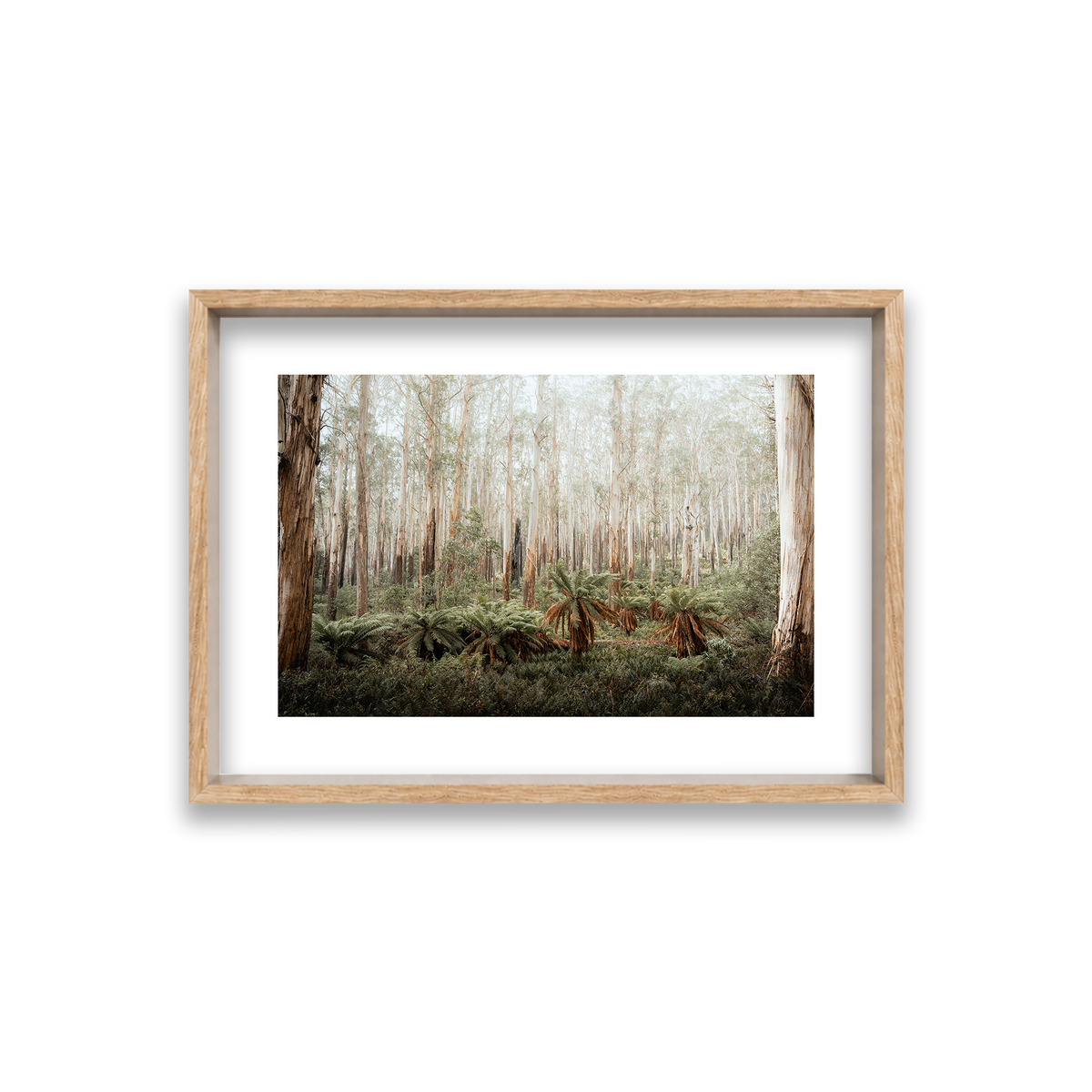Fern Valley - Marysville — Small, Natural Oak, Shadow Box