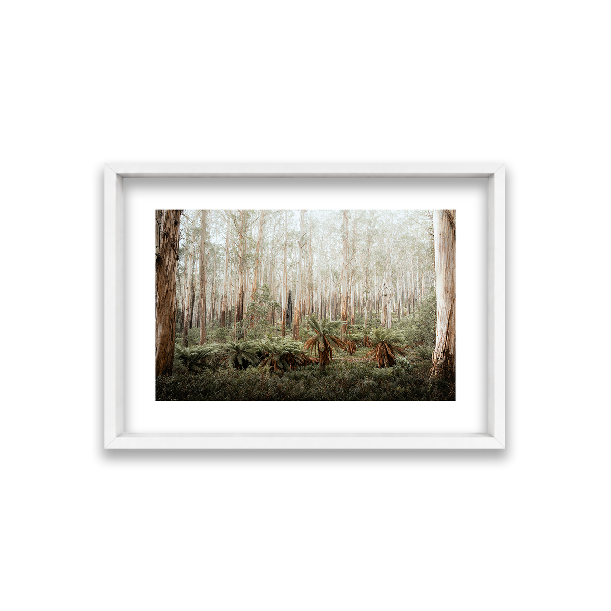 Fern Valley - Marysville — Small, Matte White, Shadow Box