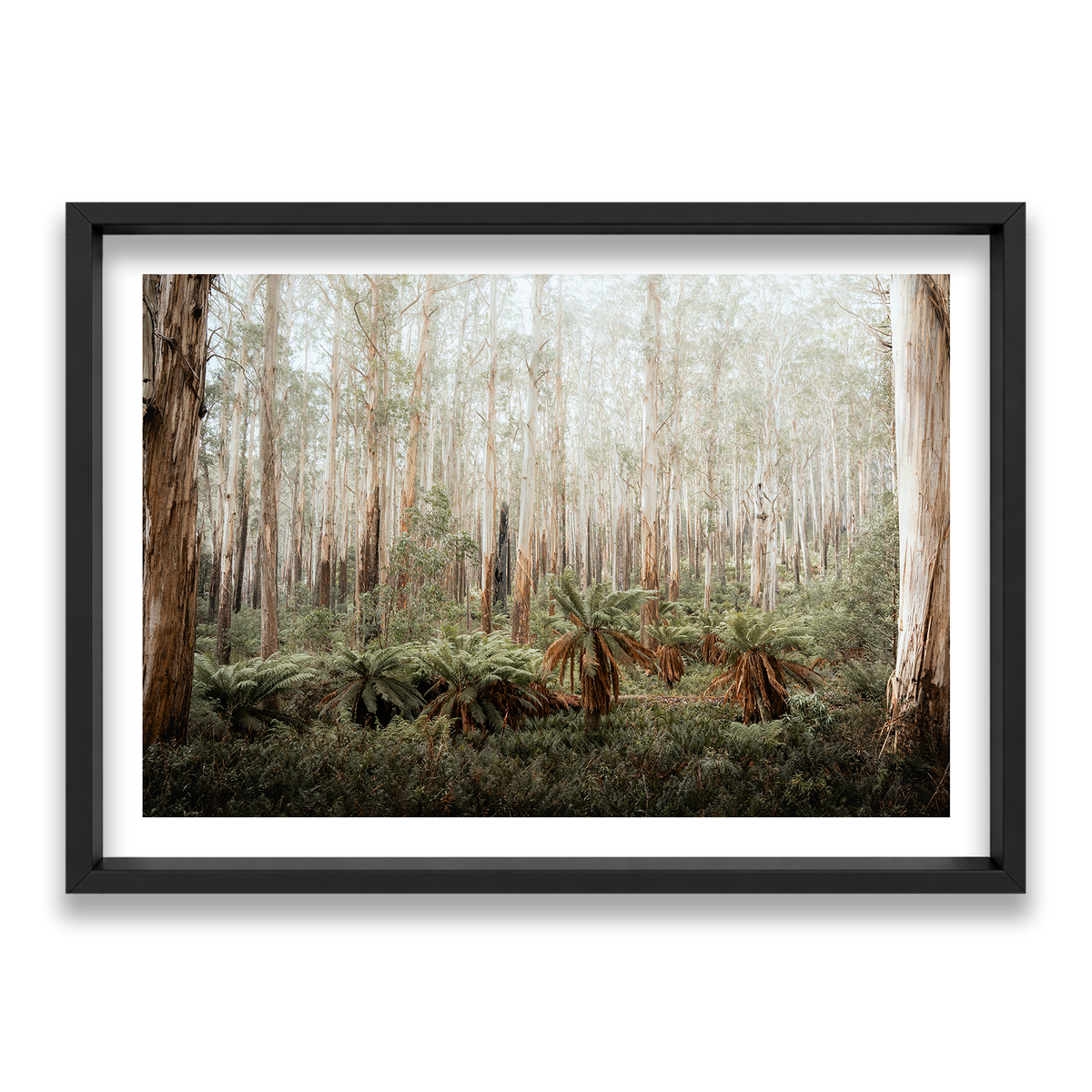 Fern Valley - Marysville — Statement, Matte Black, Shadow Box