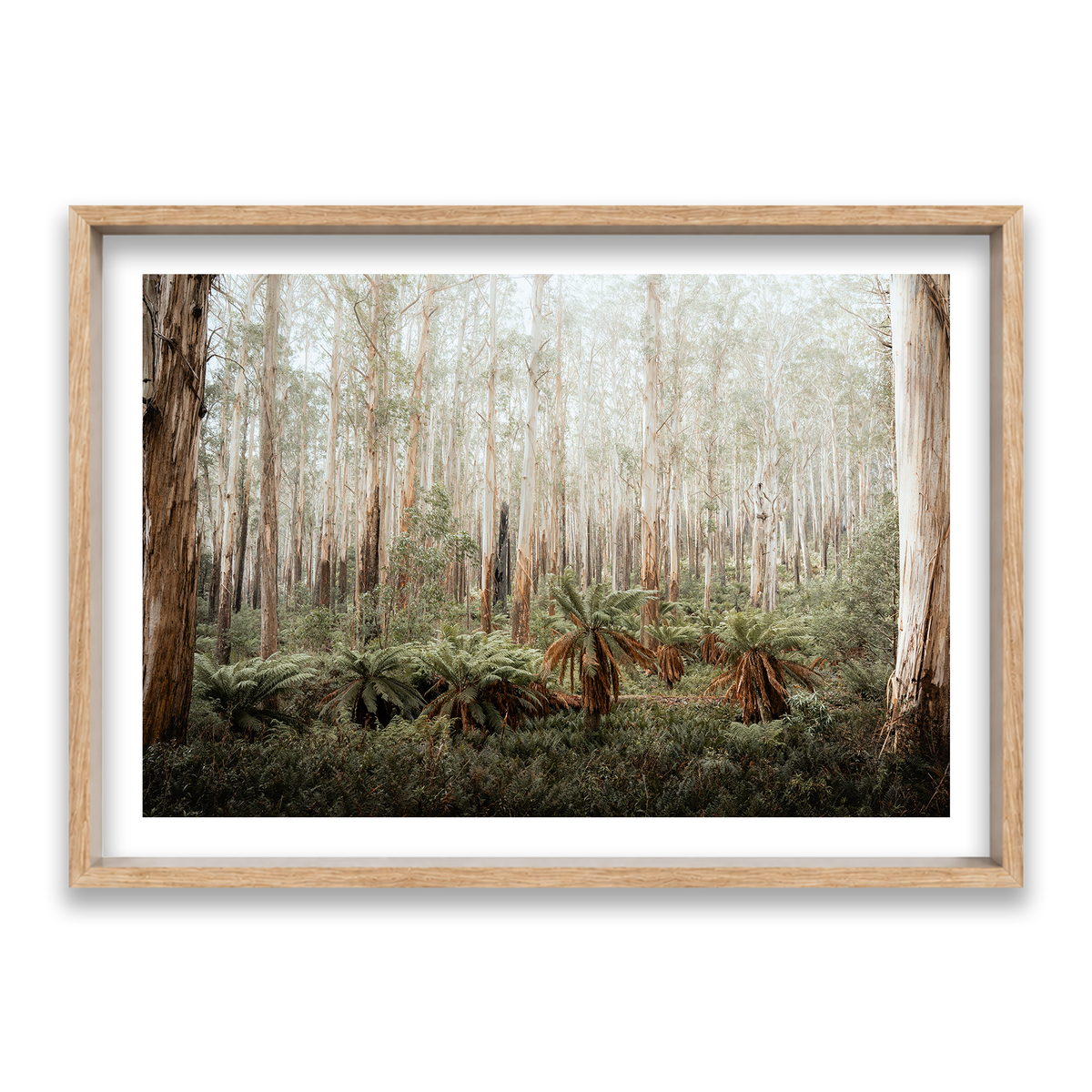 Fern Valley - Marysville — Statement, Natural Oak, Shadow Box
