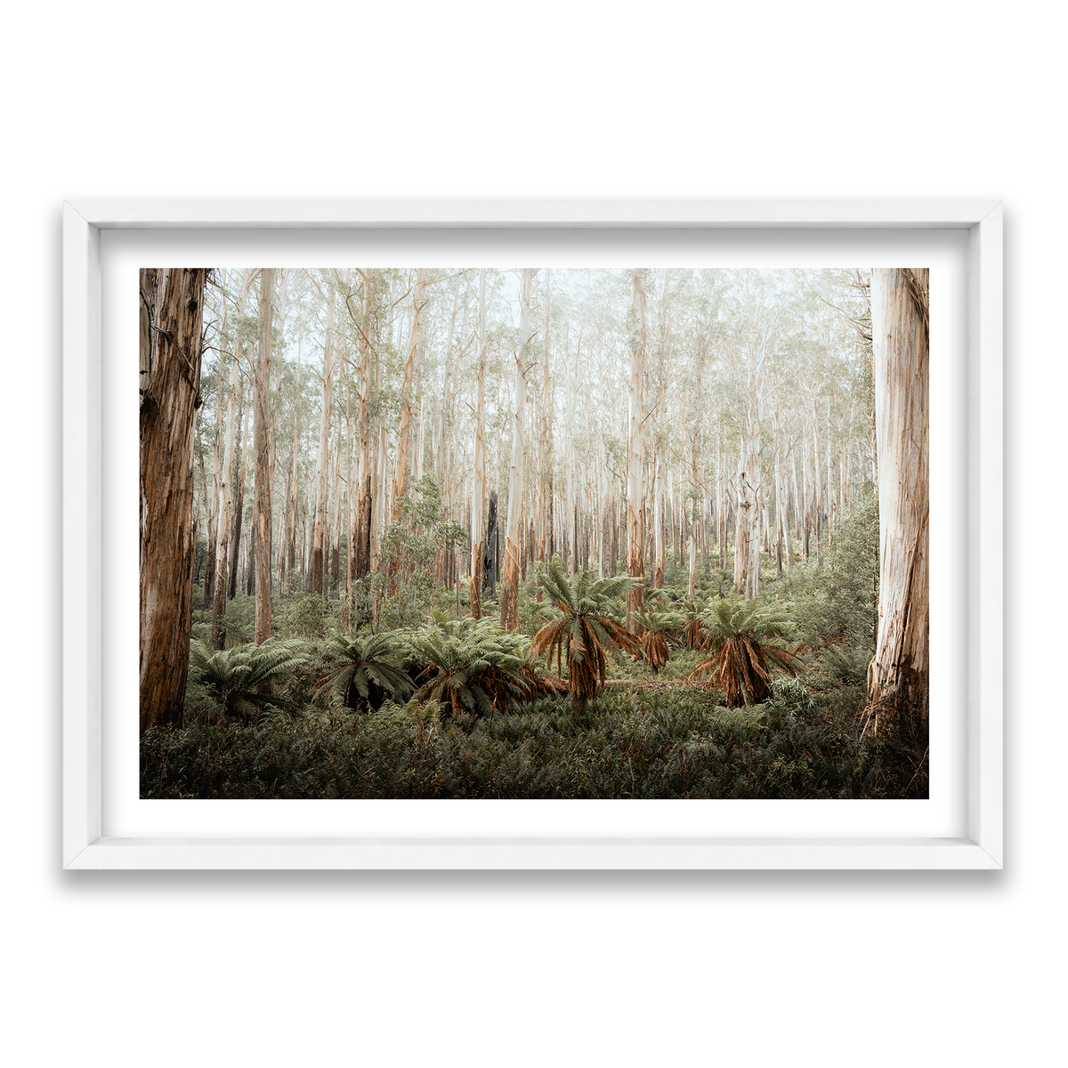 Fern Valley - Marysville — Statement, Matte White, Shadow Box