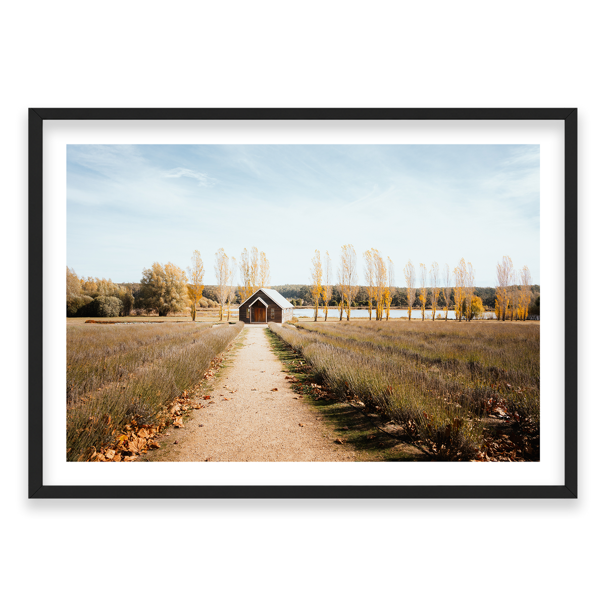 Sault Lavender Field - Daylesford — Monument, Matte Black, Classic Frame