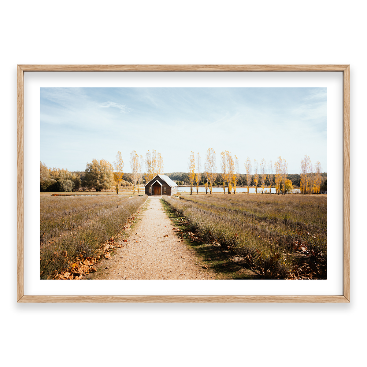 Sault Lavender Field - Daylesford — Monument, Natural Oak, Classic Frame