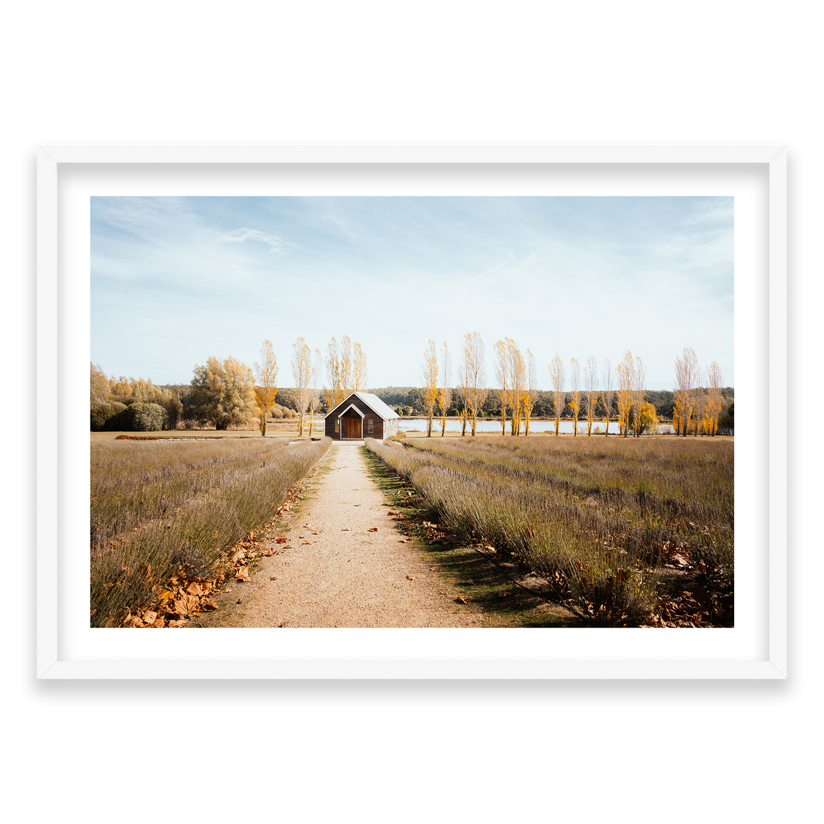 Sault Lavender Field - Daylesford — Monument, Matte White, Classic Frame