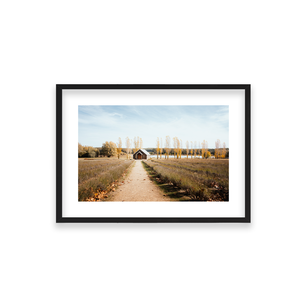 Sault Lavender Field - Daylesford — Small, Matte Black, Classic Frame