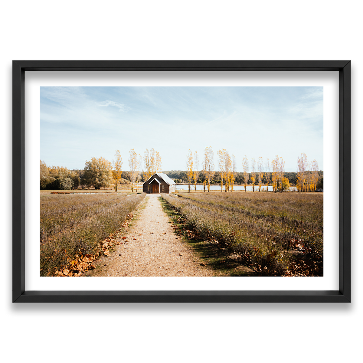 Sault Lavender Field - Daylesford — Monument, Matte Black, Shadow Box