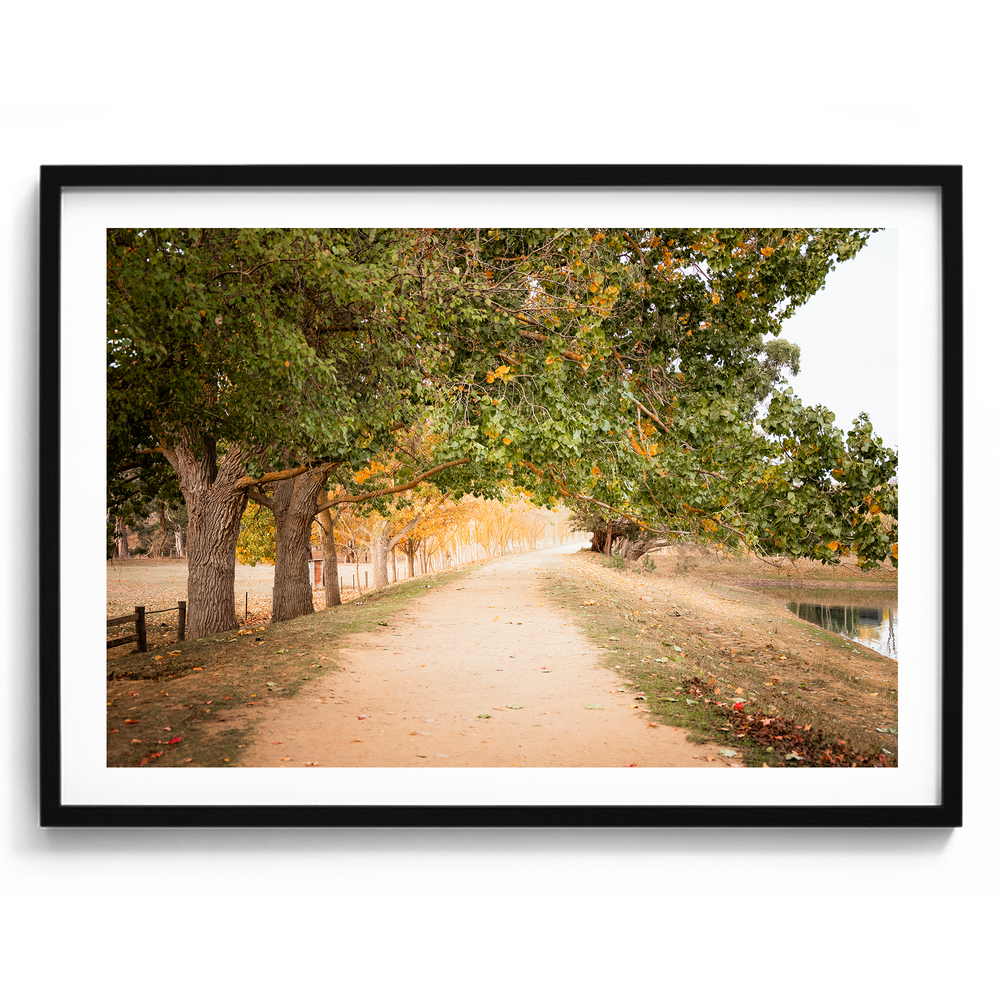 Autumn Park - Daylesford